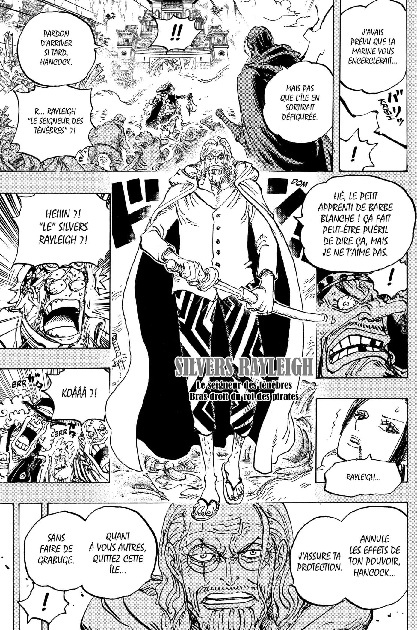 One Piece: Chapter chapitre-1059 - Page 15
