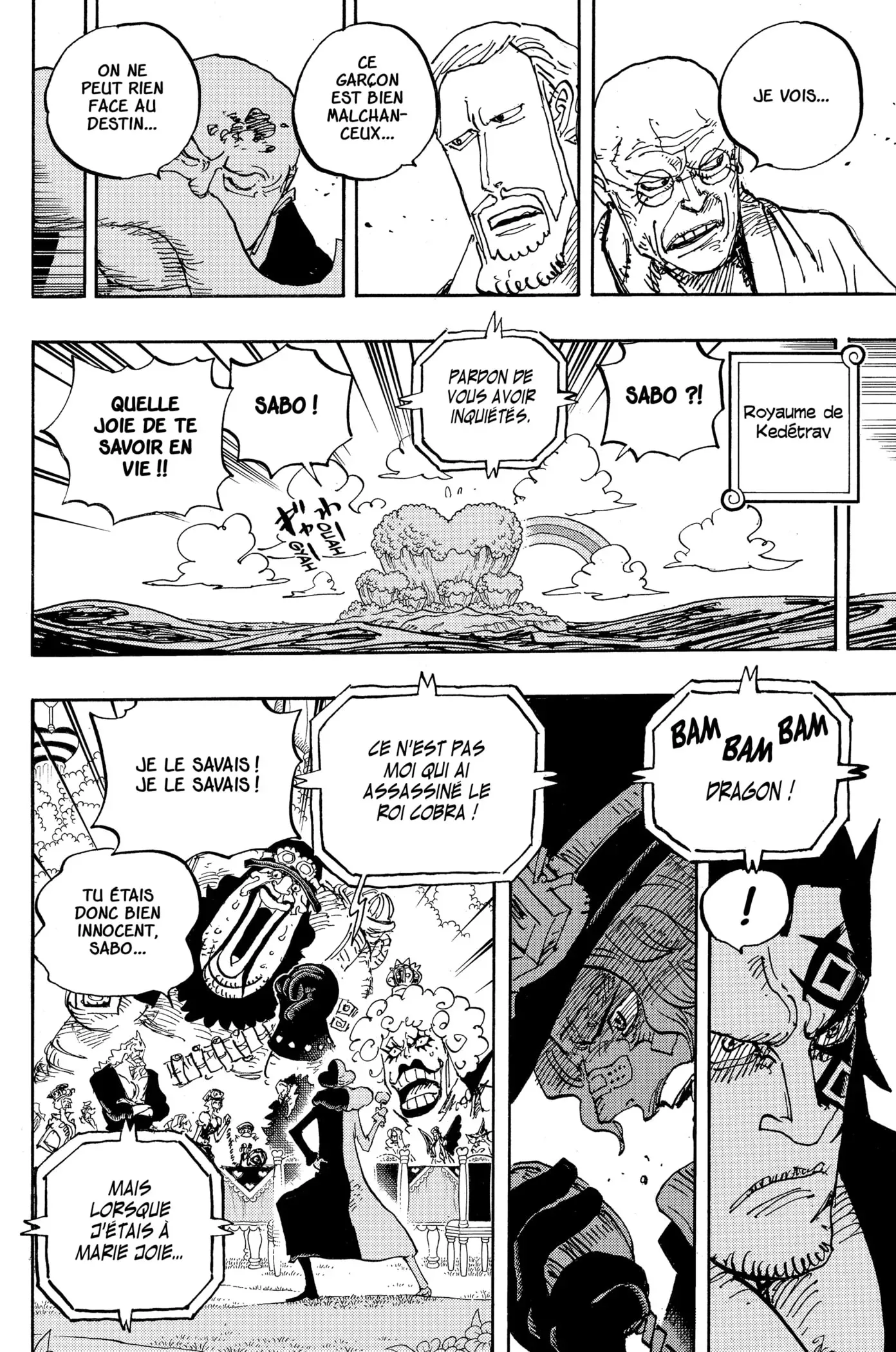 One Piece: Chapter chapitre-1060 - Page 10