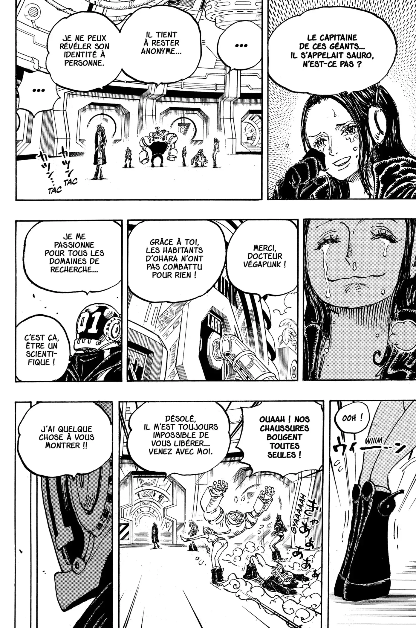 One Piece: Chapter chapitre-1066 - Page 13