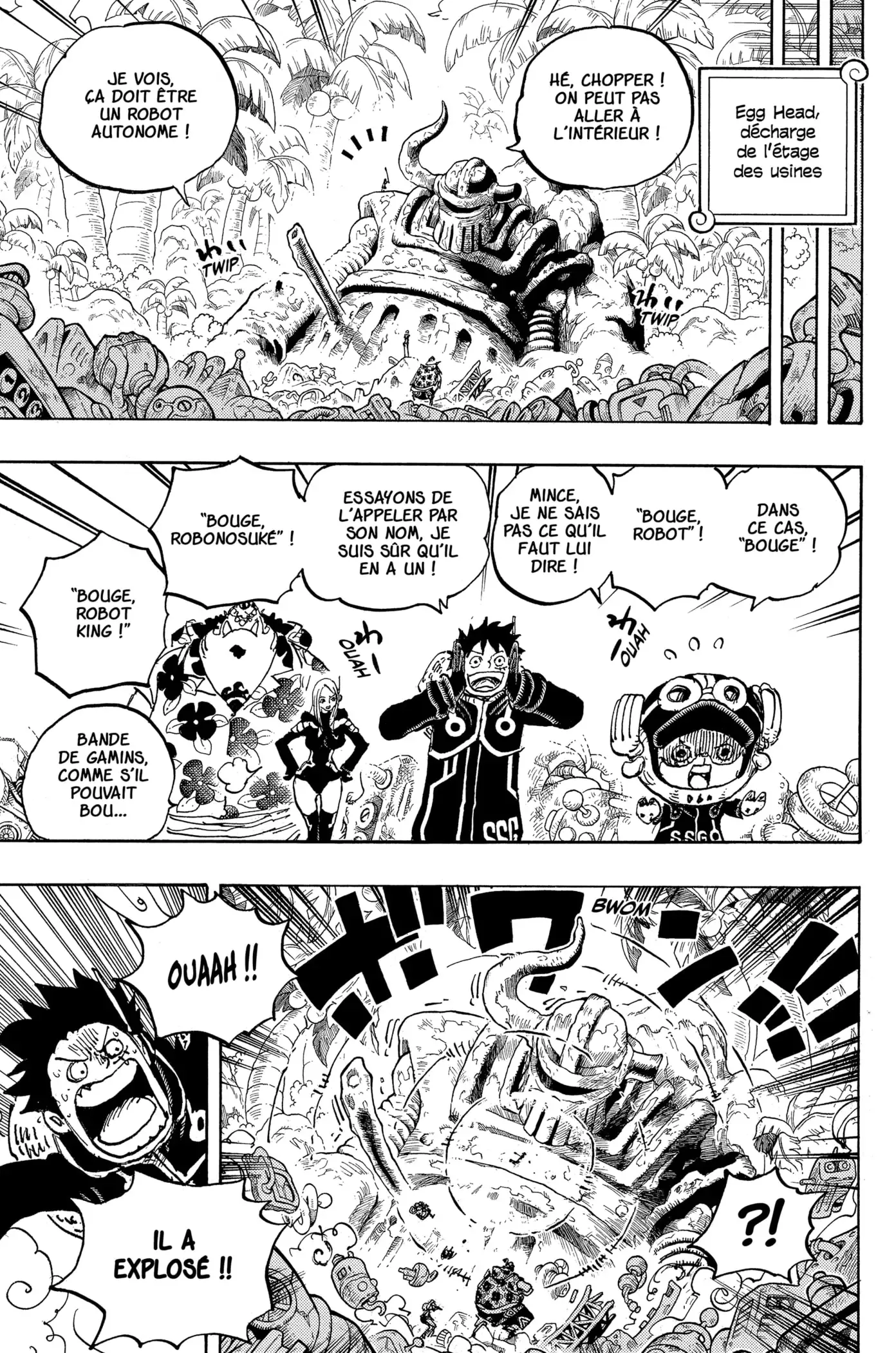 One Piece: Chapter chapitre-1066 - Page 14