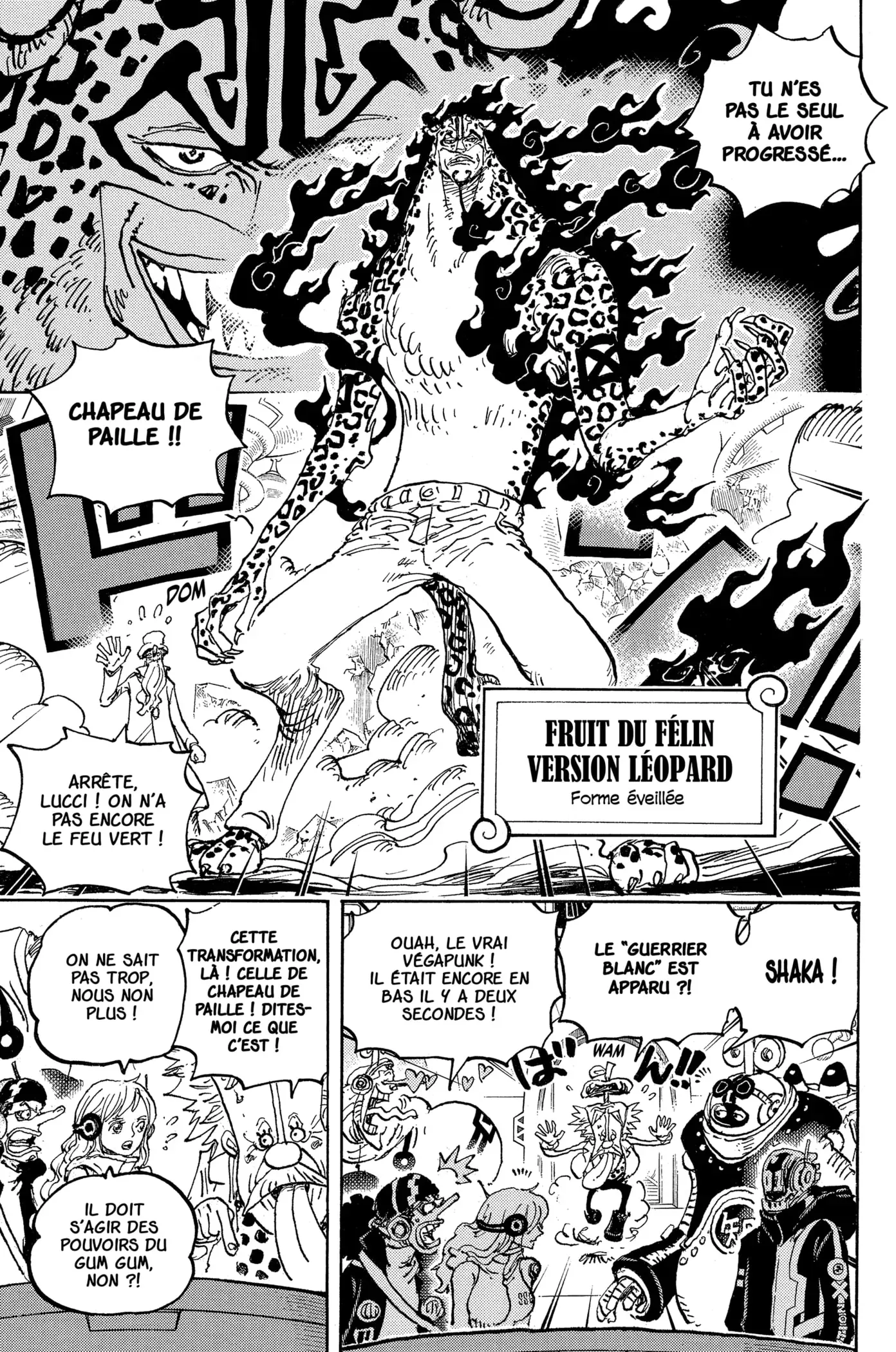 One Piece: Chapter chapitre-1069 - Page 7
