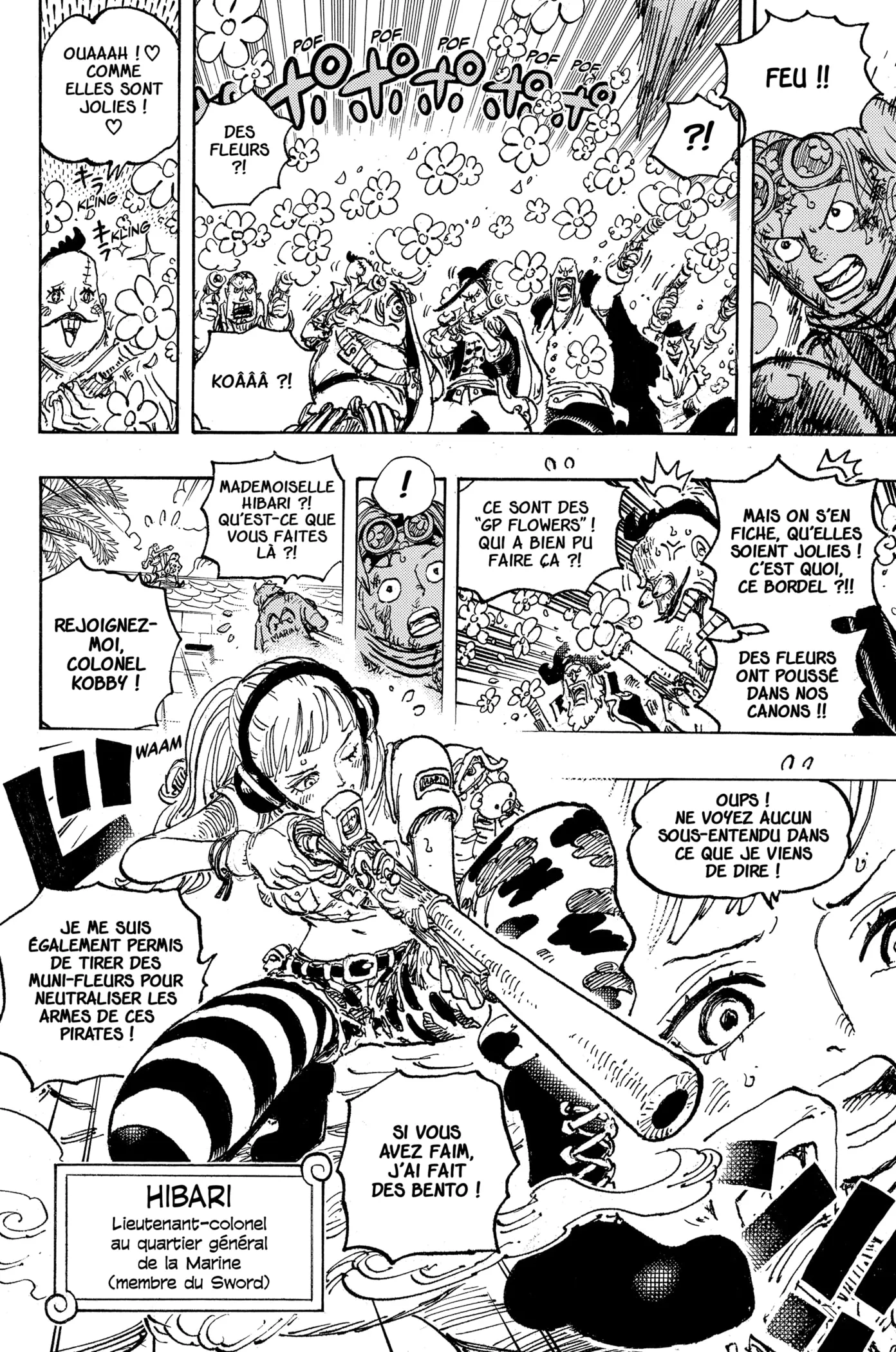 One Piece: Chapter chapitre-1080 - Page 12