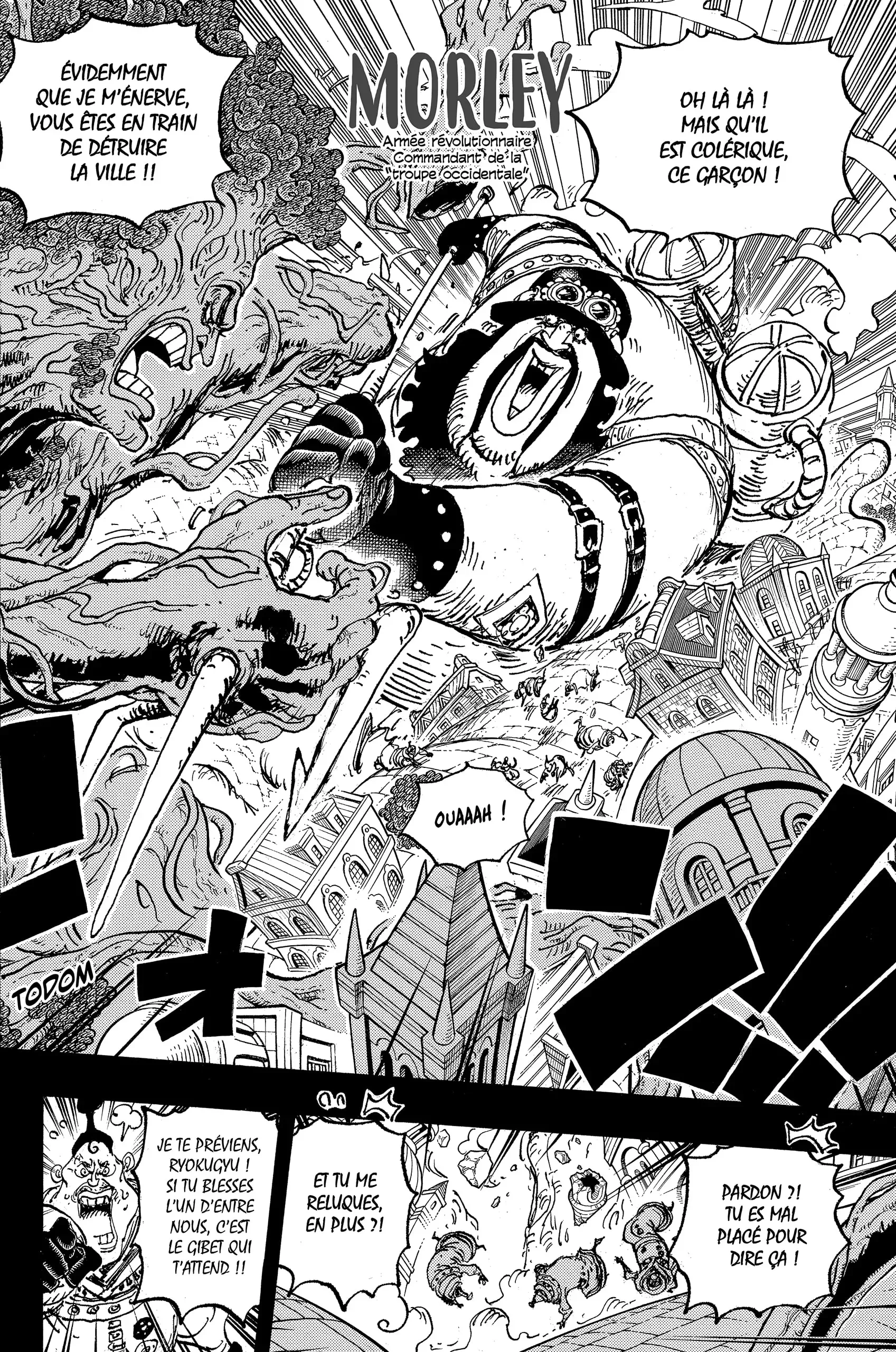 One Piece: Chapter chapitre-1083 - Page 14