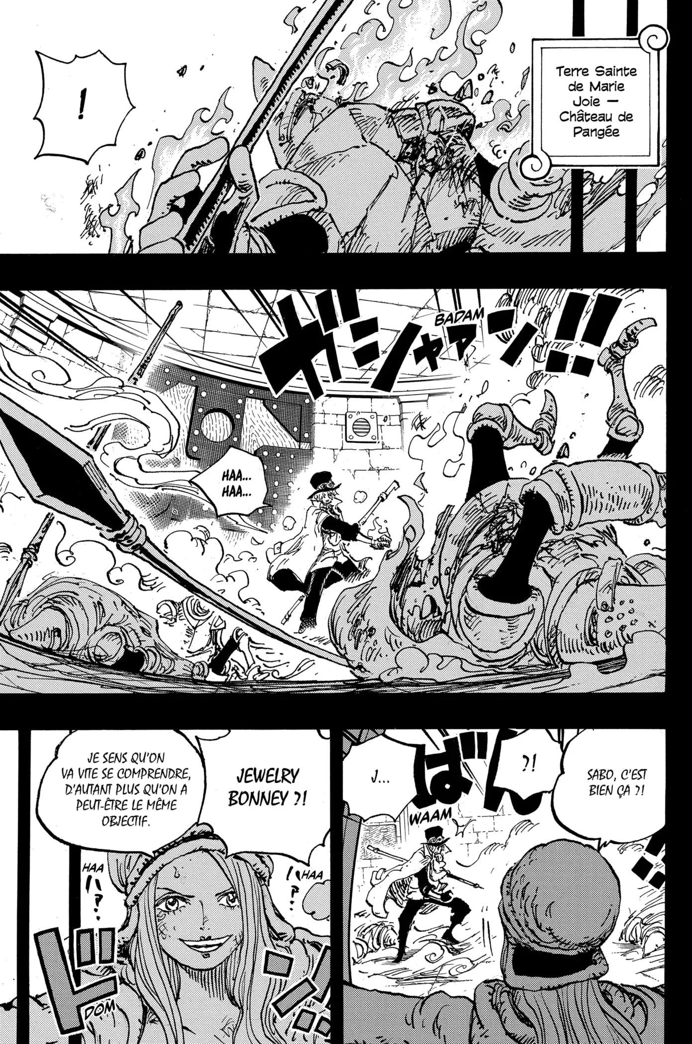 One Piece: Chapter chapitre-1084 - Page 3