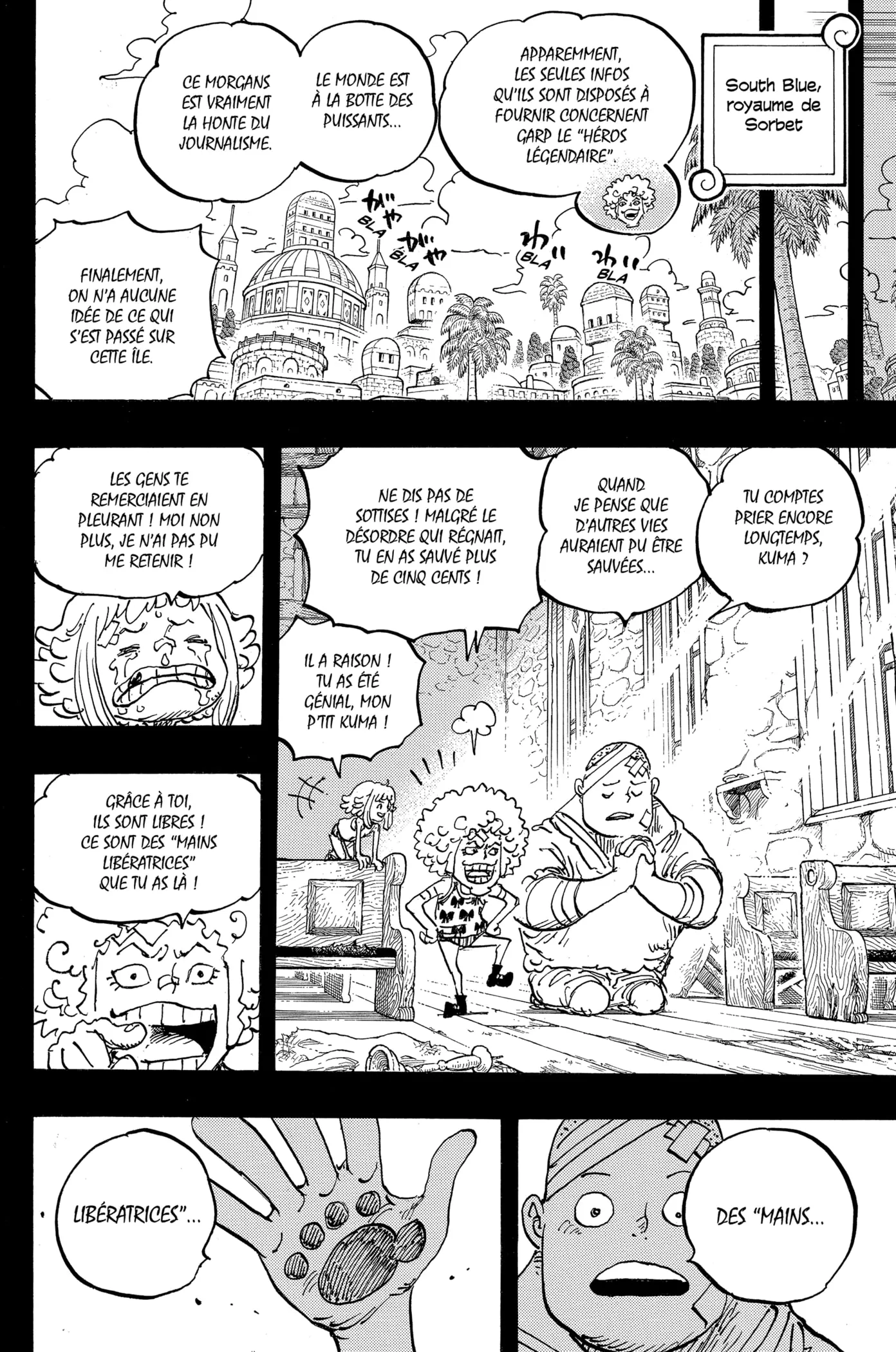 One Piece: Chapter chapitre-1096 - Page 14
