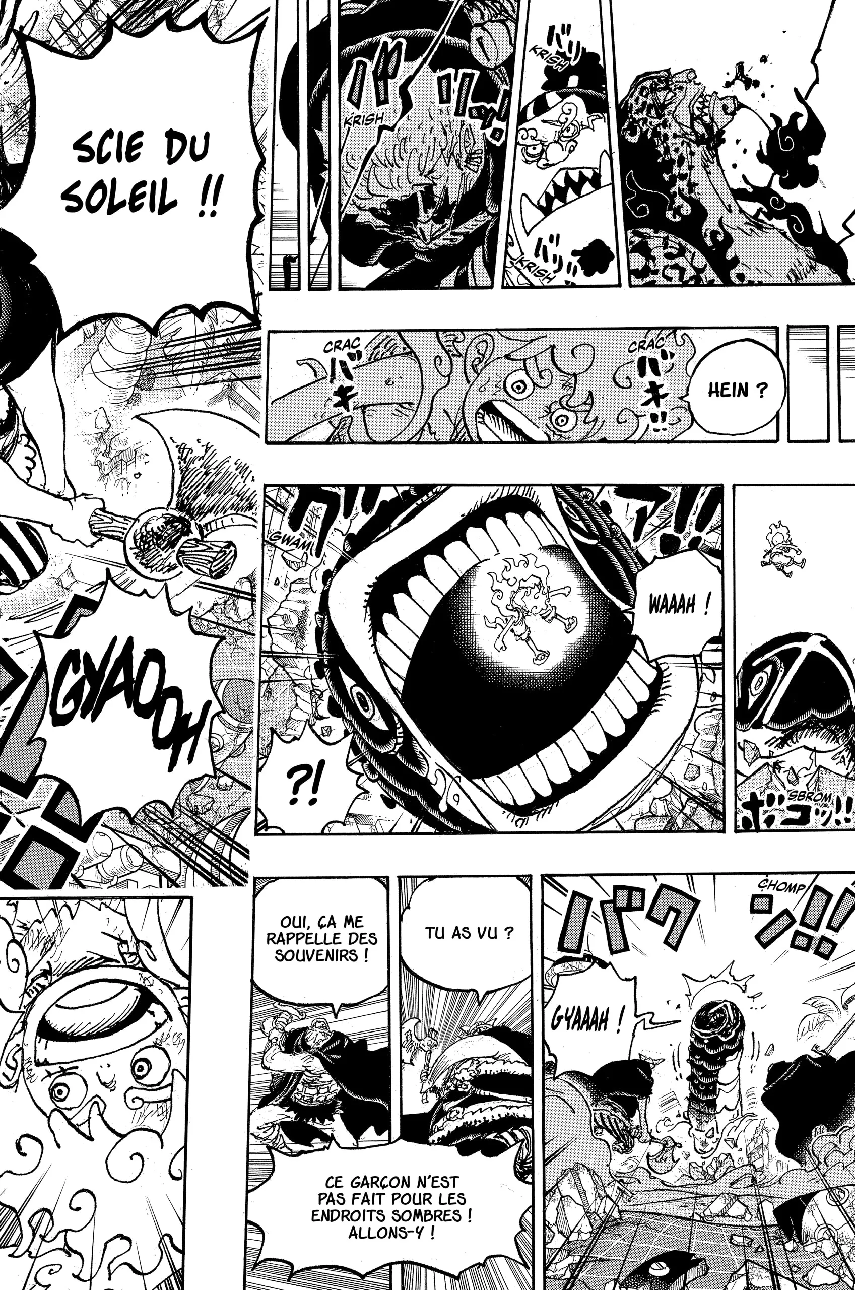 One Piece: Chapter chapitre-1110 - Page 16