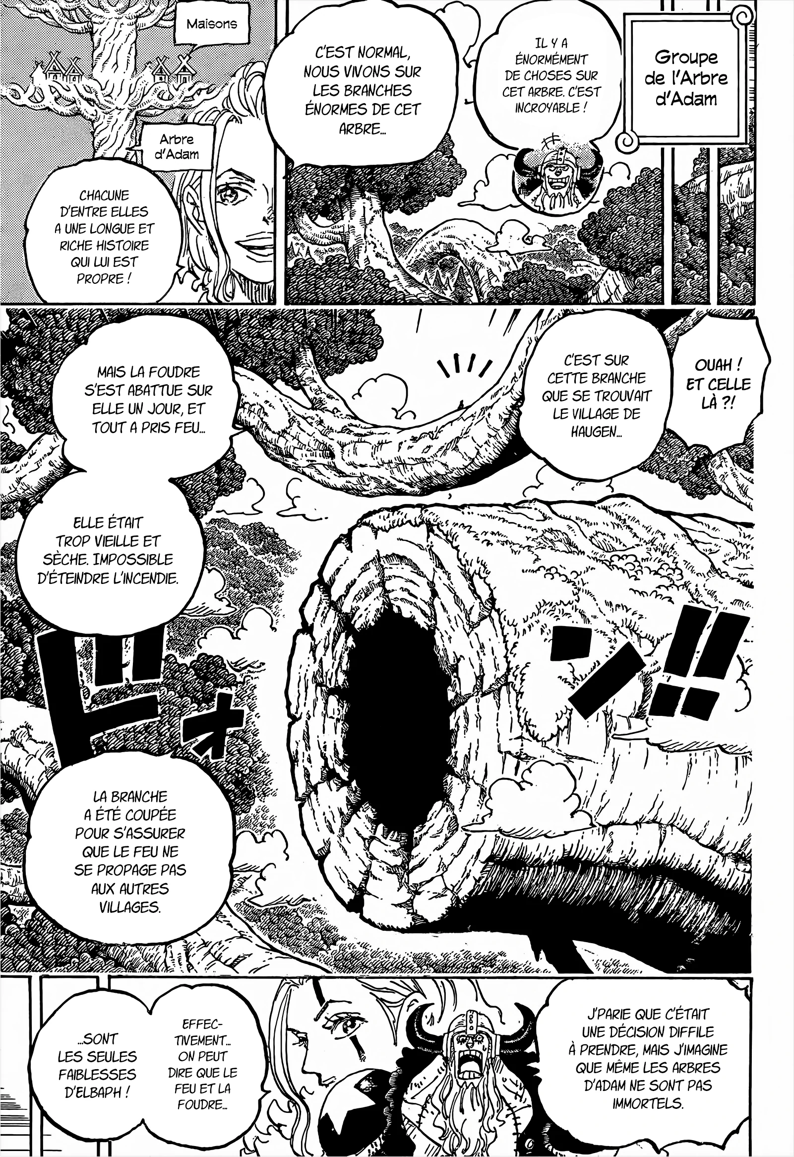 One Piece: Chapter chapitre-1141 - Page 3