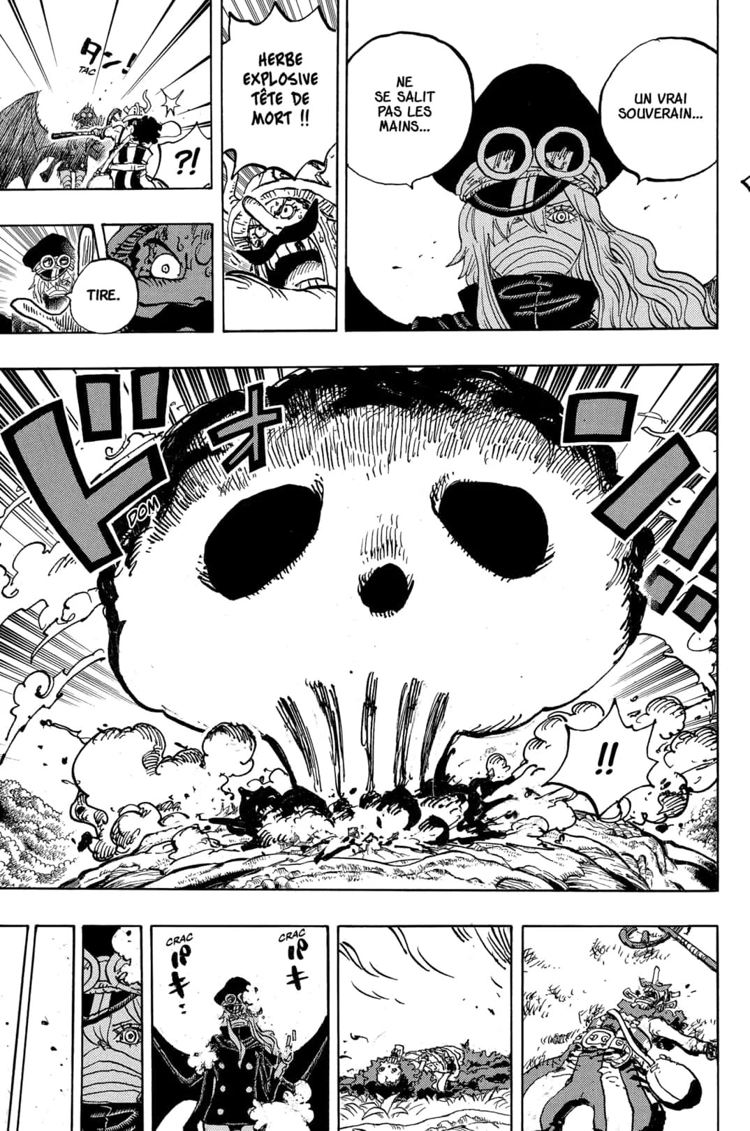 One Piece: Chapter chapitre-1177 - Page 15