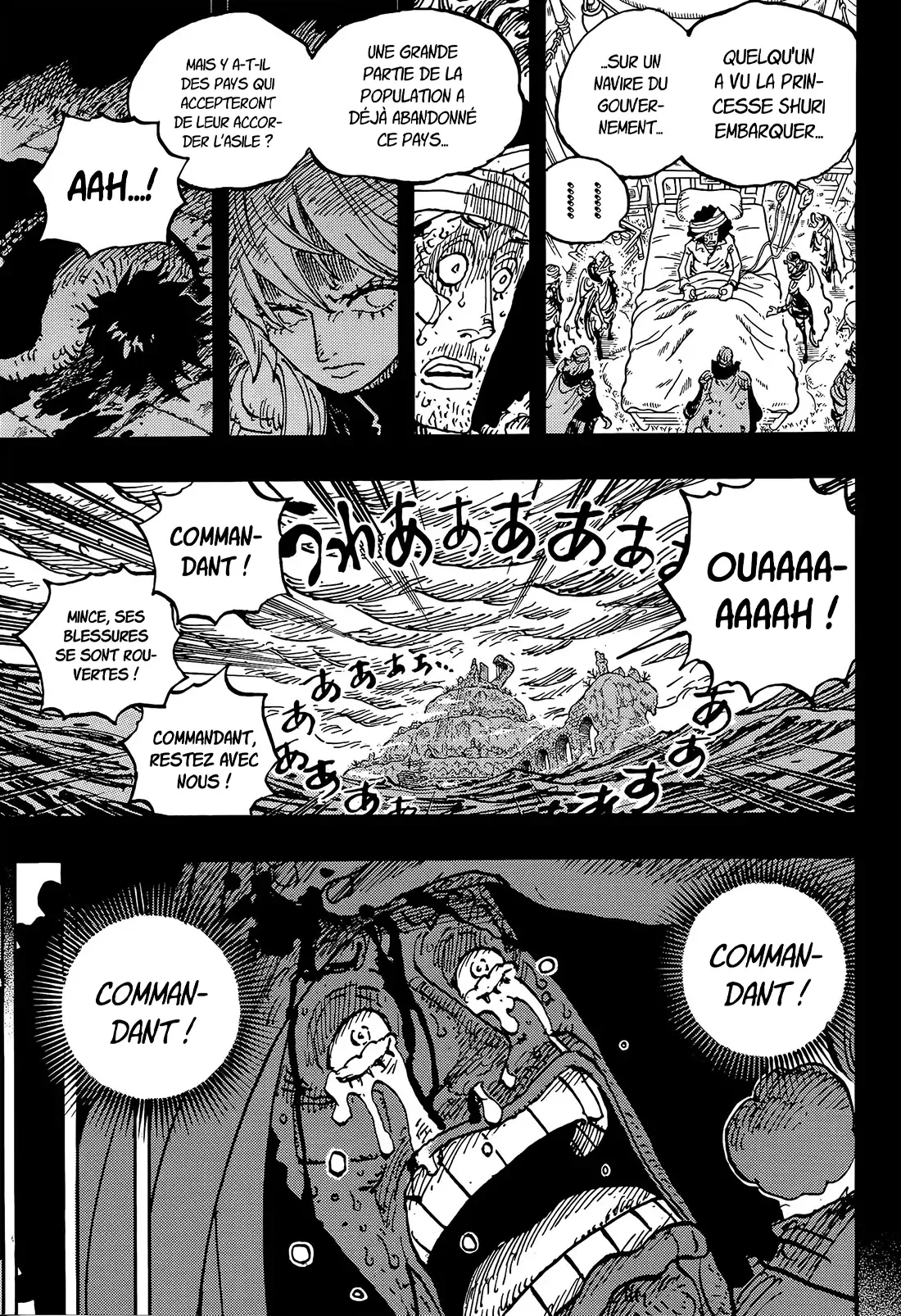One Piece: Chapter chapitre-1186 - Page 11
