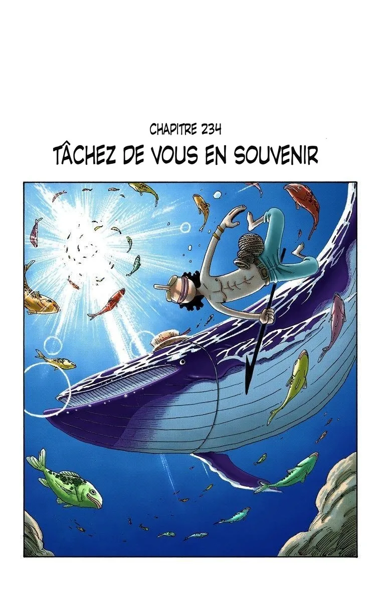 One Piece: Chapter chapitre-234 - Page 1