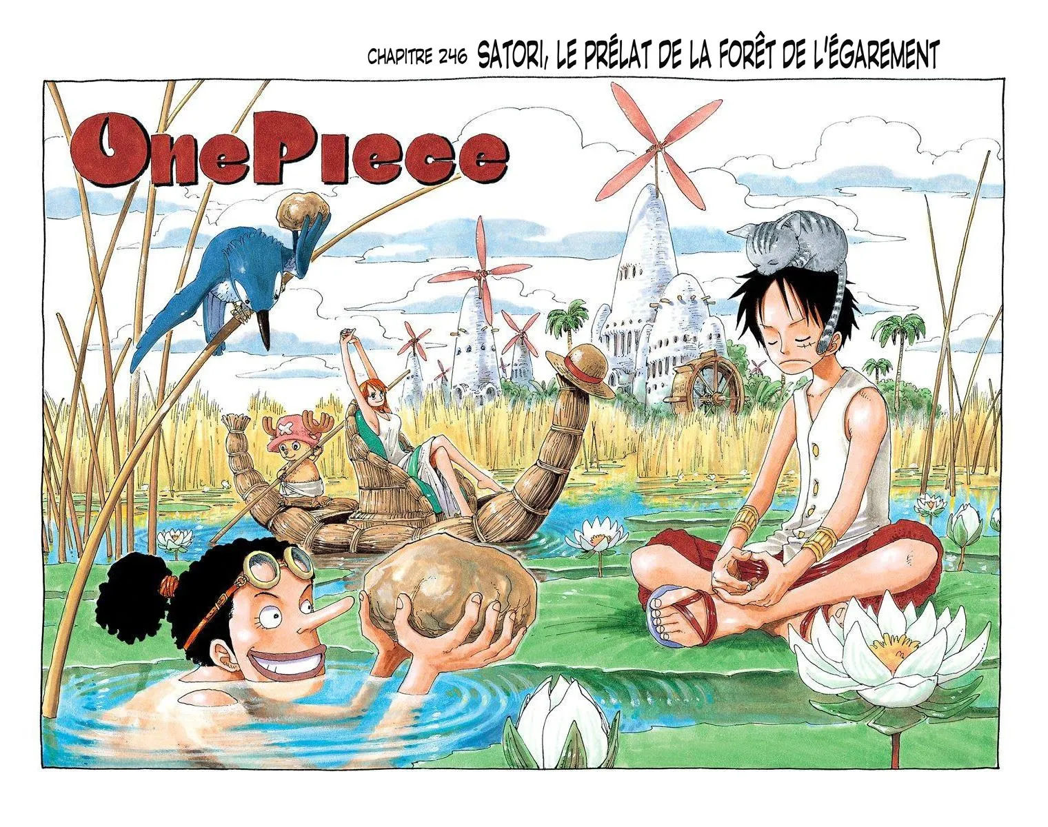 One Piece: Chapter chapitre-246 - Page 1