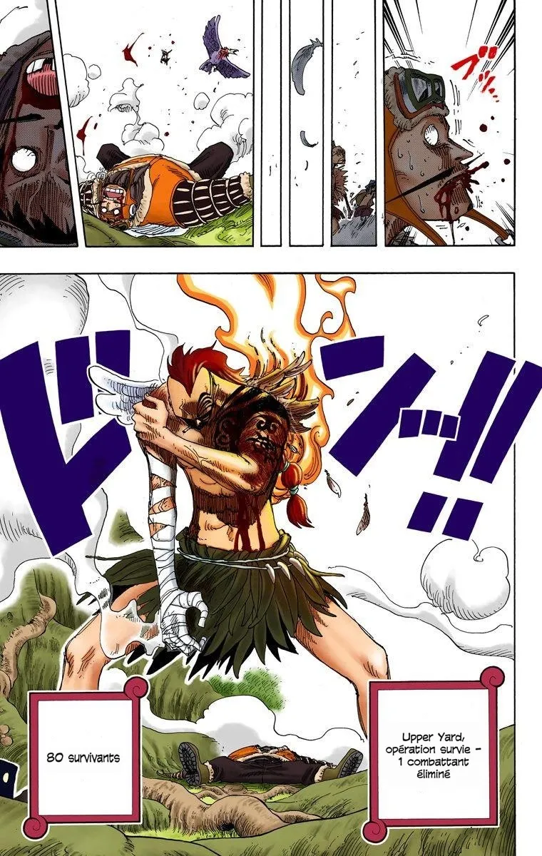 One Piece: Chapter chapitre-256 - Page 19
