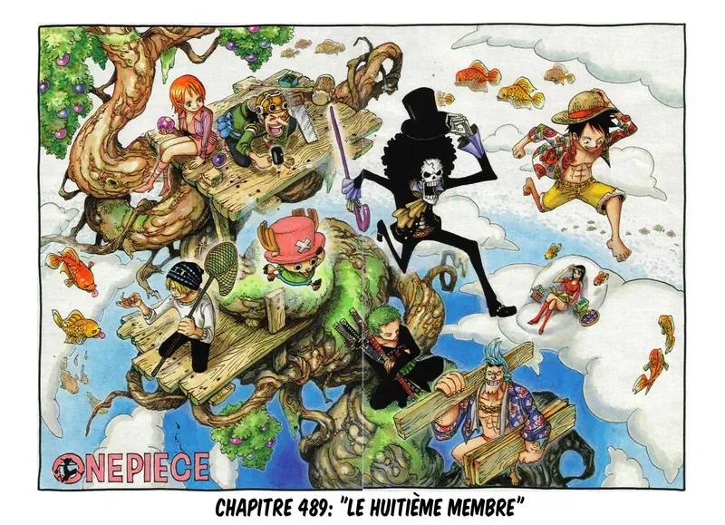 One Piece: Chapter chapitre-489 - Page 1