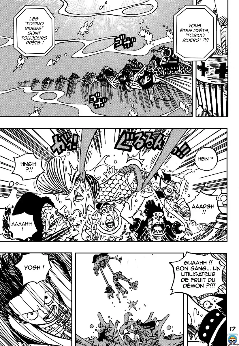 One Piece: Chapter chapitre-492 - Page 17