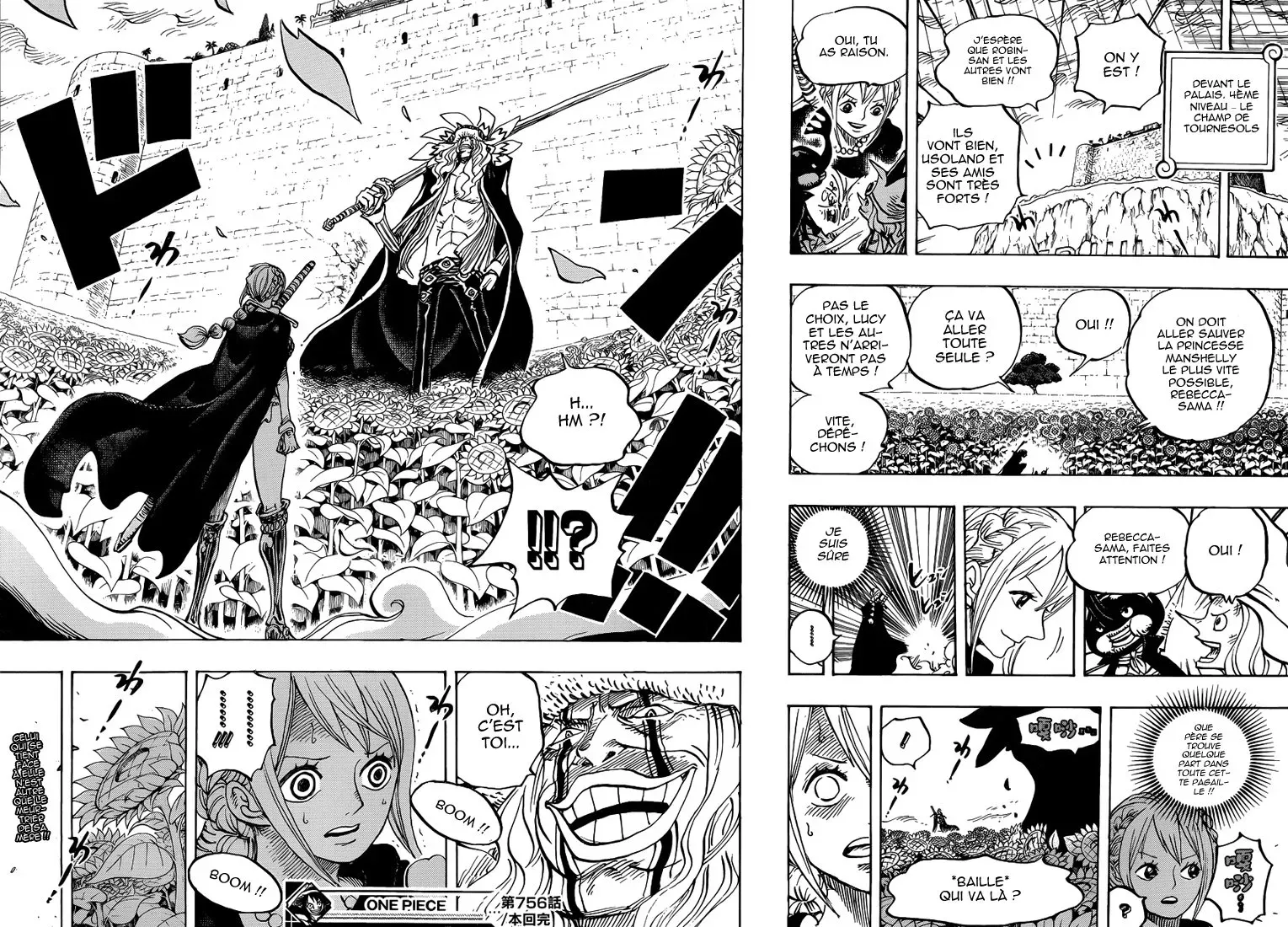 One Piece: Chapter chapitre-756 - Page 17