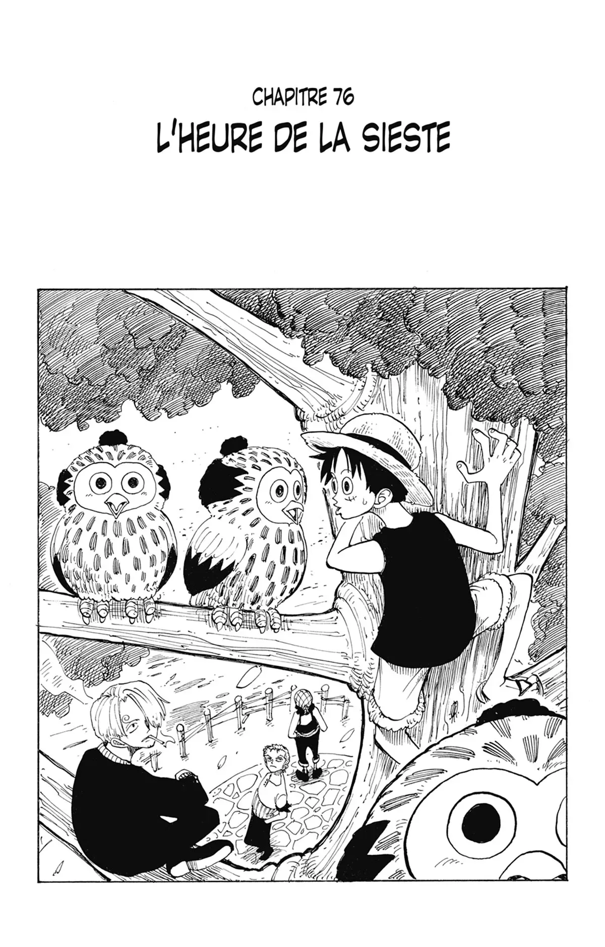 One Piece: Chapter chapitre-76 - Page 1