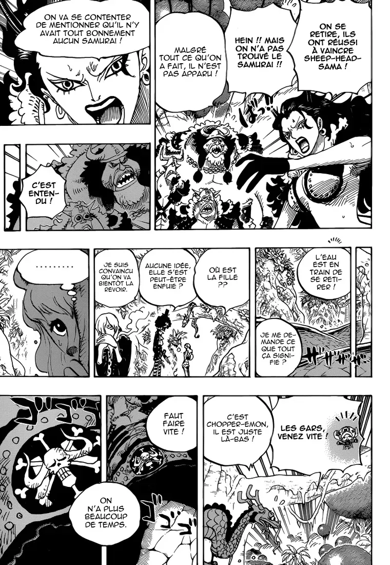 One Piece: Chapter chapitre-795 - Page 9