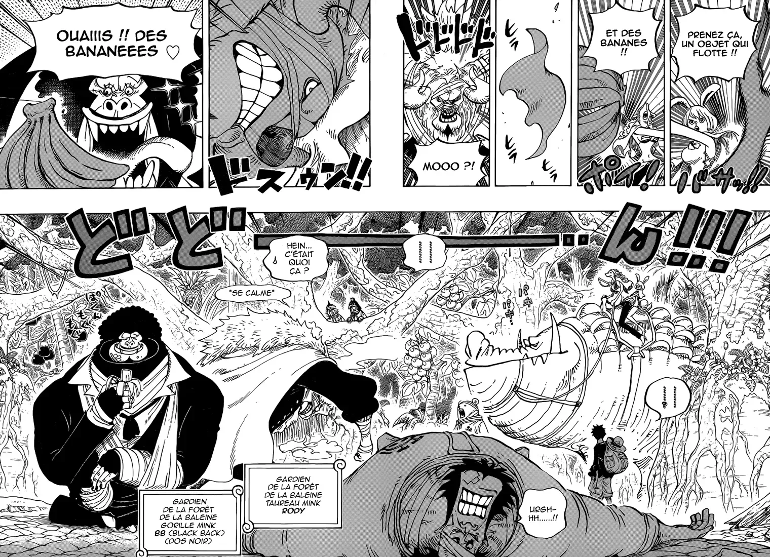 One Piece Scan 805 Vf