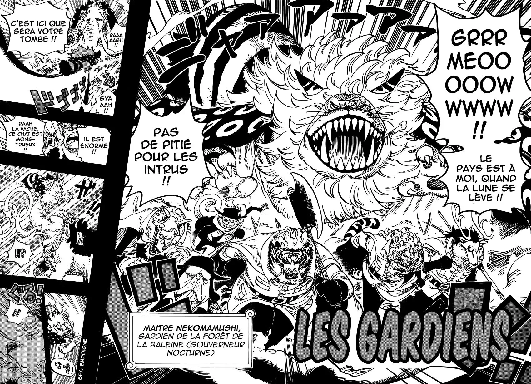 One Piece: Chapter chapitre-809 - Page 15
