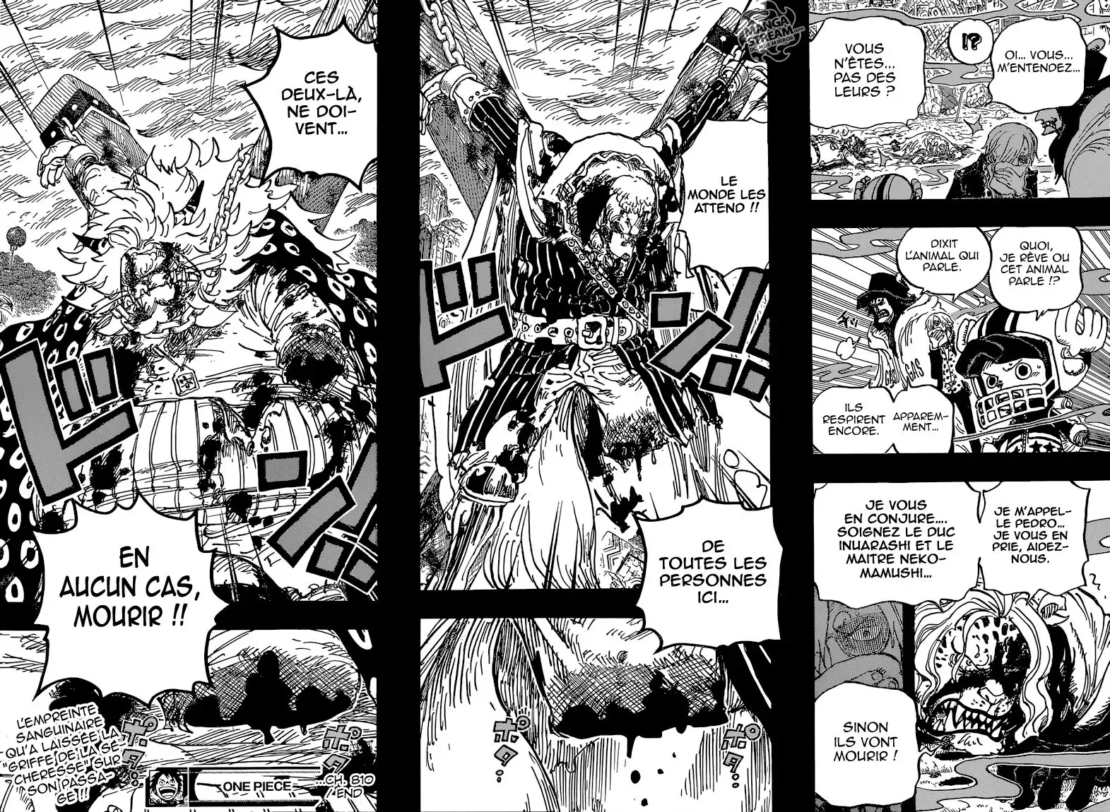 One Piece: Chapter chapitre-810 - Page 18