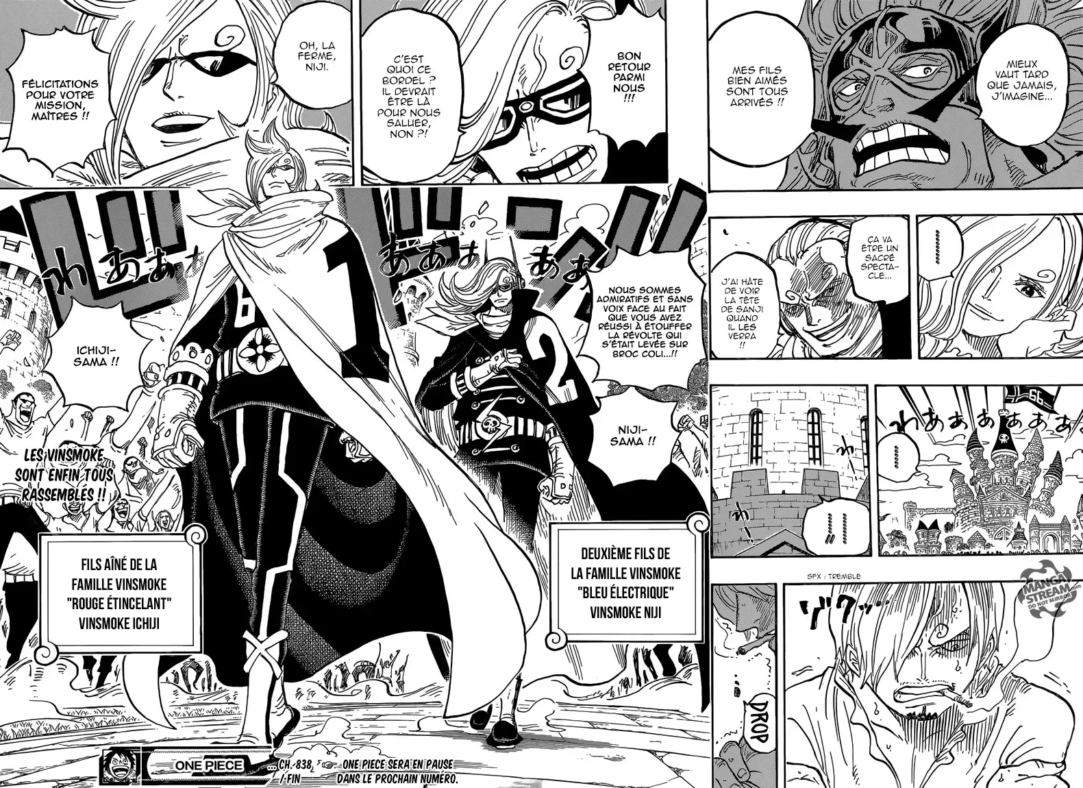 One Piece: Chapter chapitre-838 - Page 14