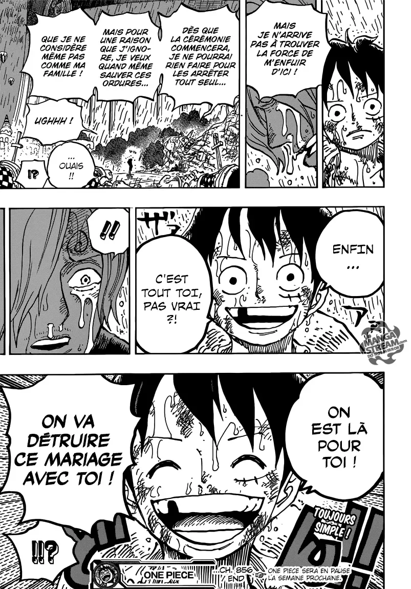 One Piece: Chapter chapitre-856 - Page 17