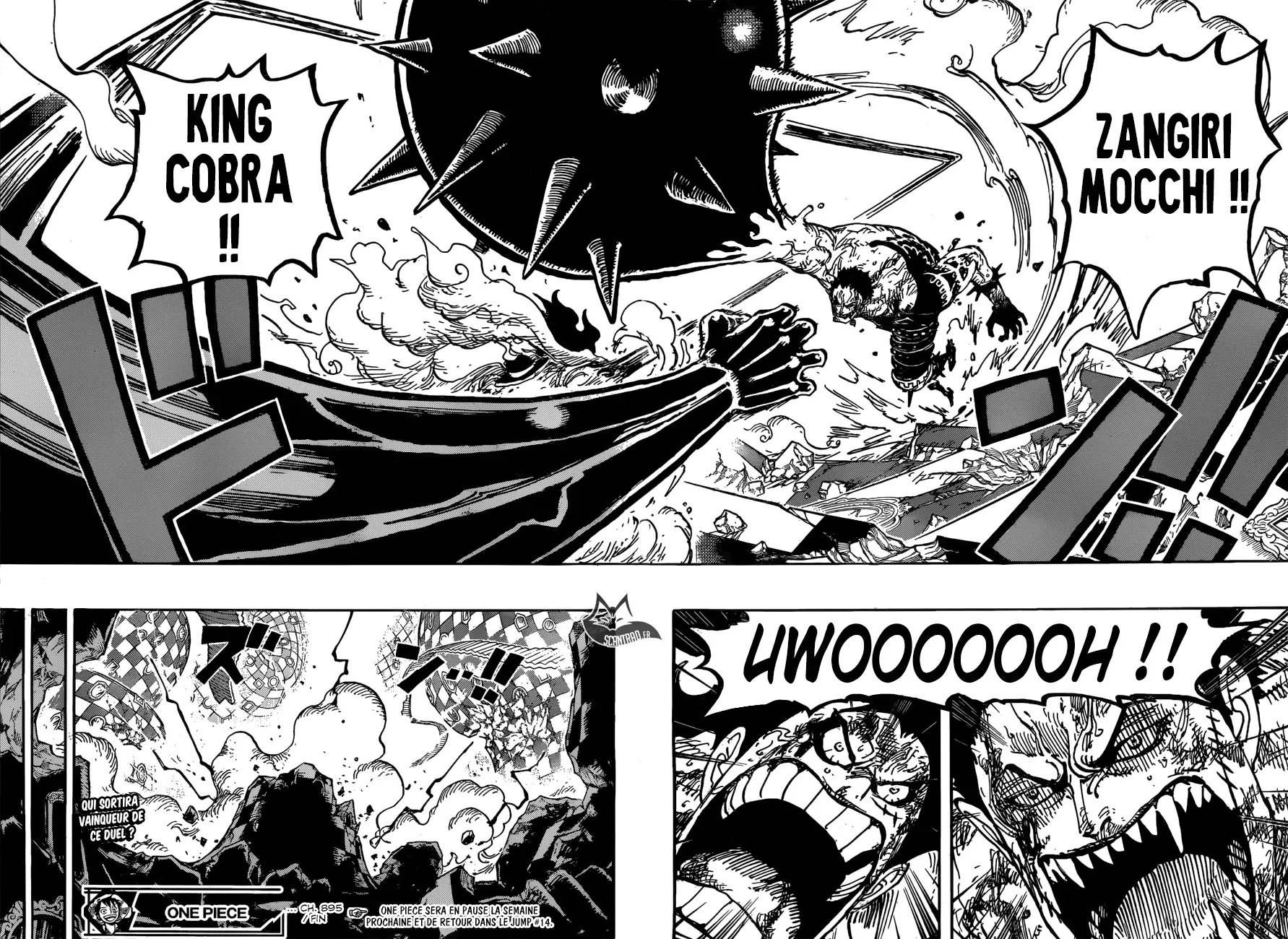 One Piece: Chapter chapitre-895 - Page 15