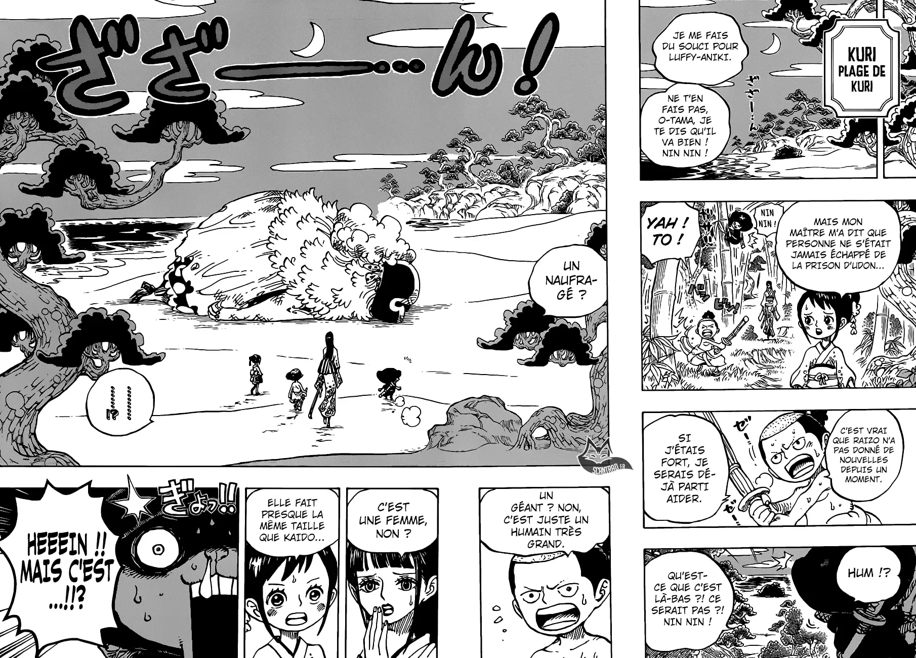 One Piece: Chapter chapitre-931 - Page 13