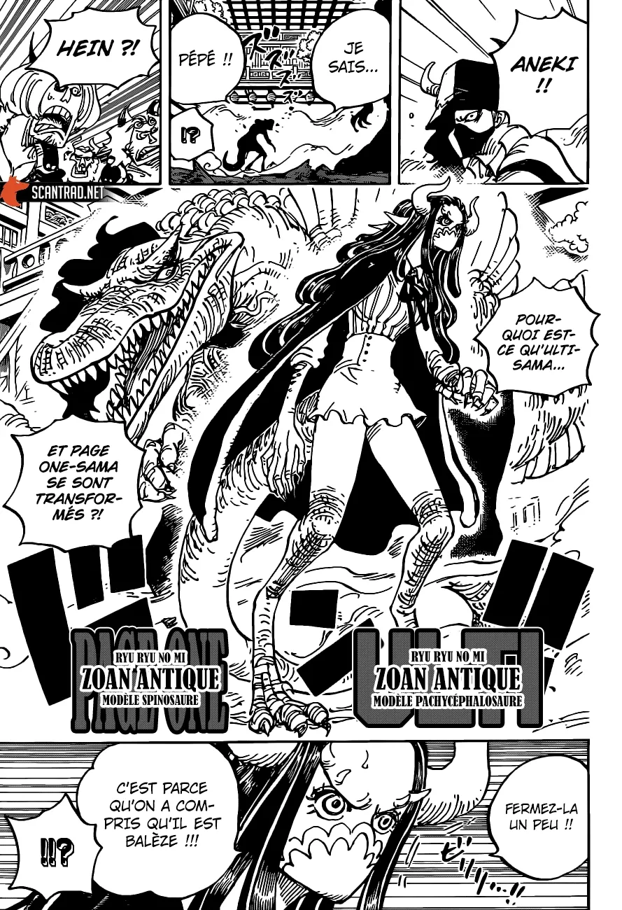 One Piece: Chapter chapitre-983 - Page 11