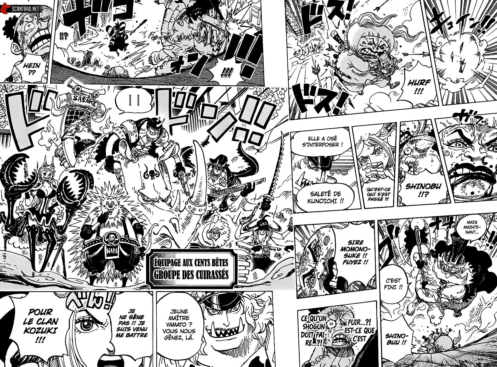 One Piece: Chapter chapitre-993 - Page 12