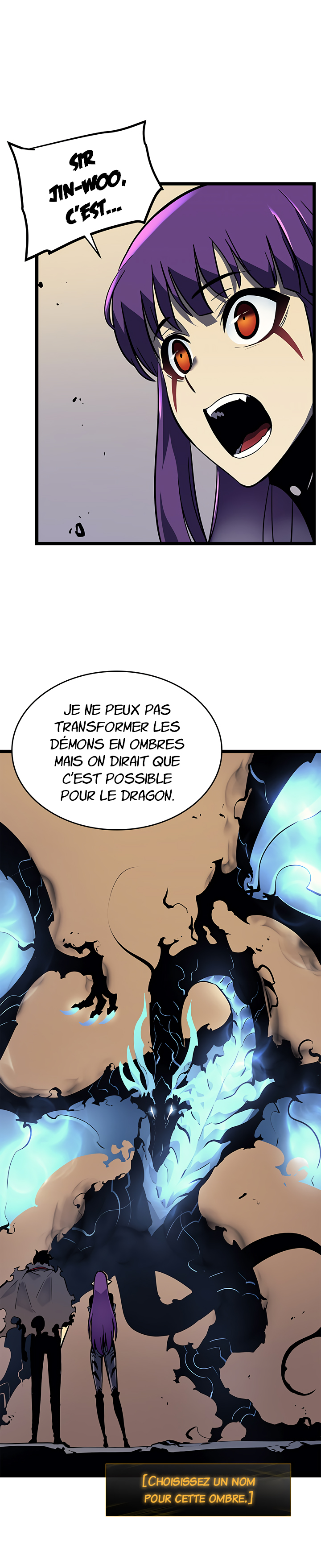 Solo Leveling: Chapter chapitre-88 - Page 10
