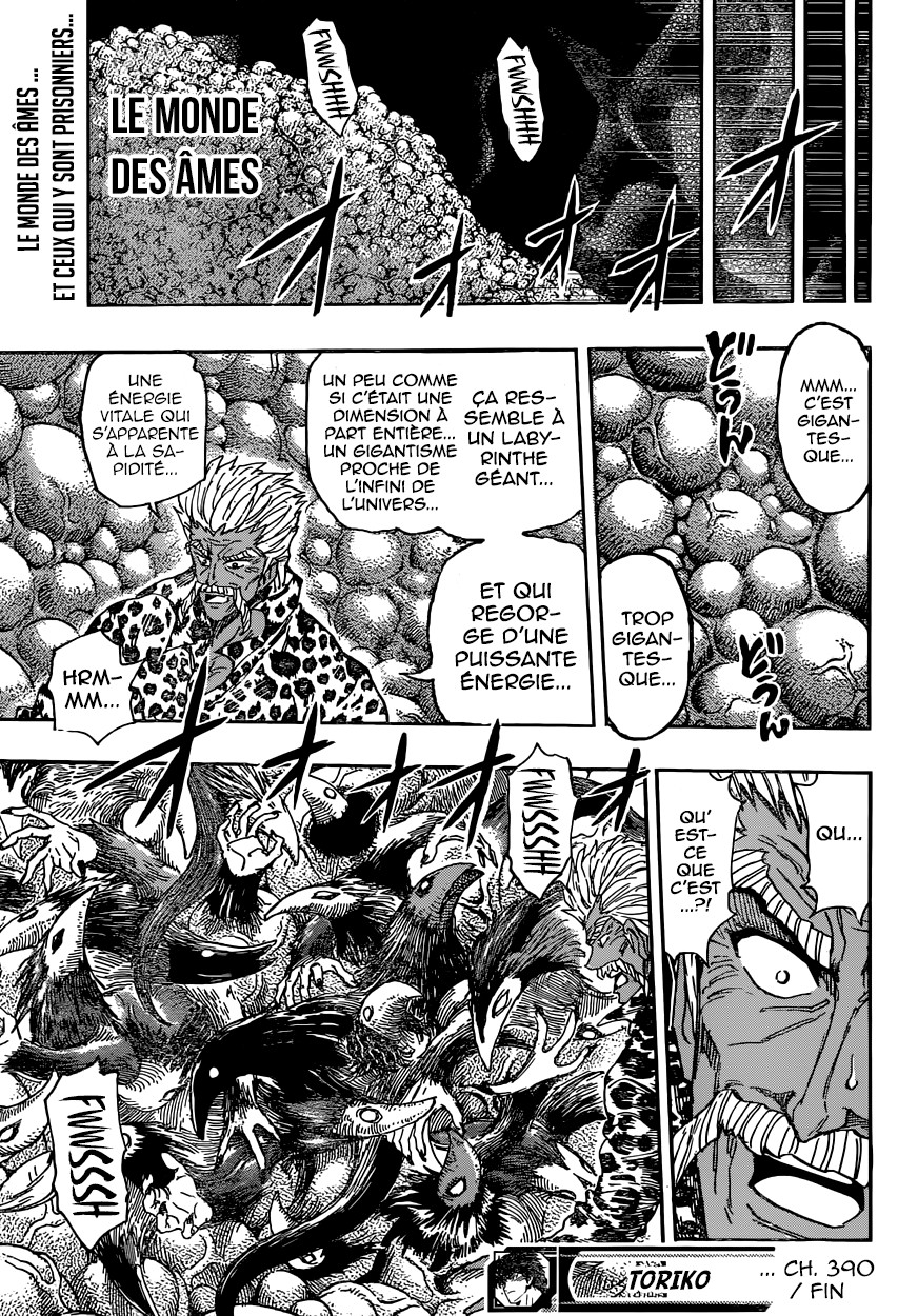 Toriko: Chapter chapitre-390 - Page 20